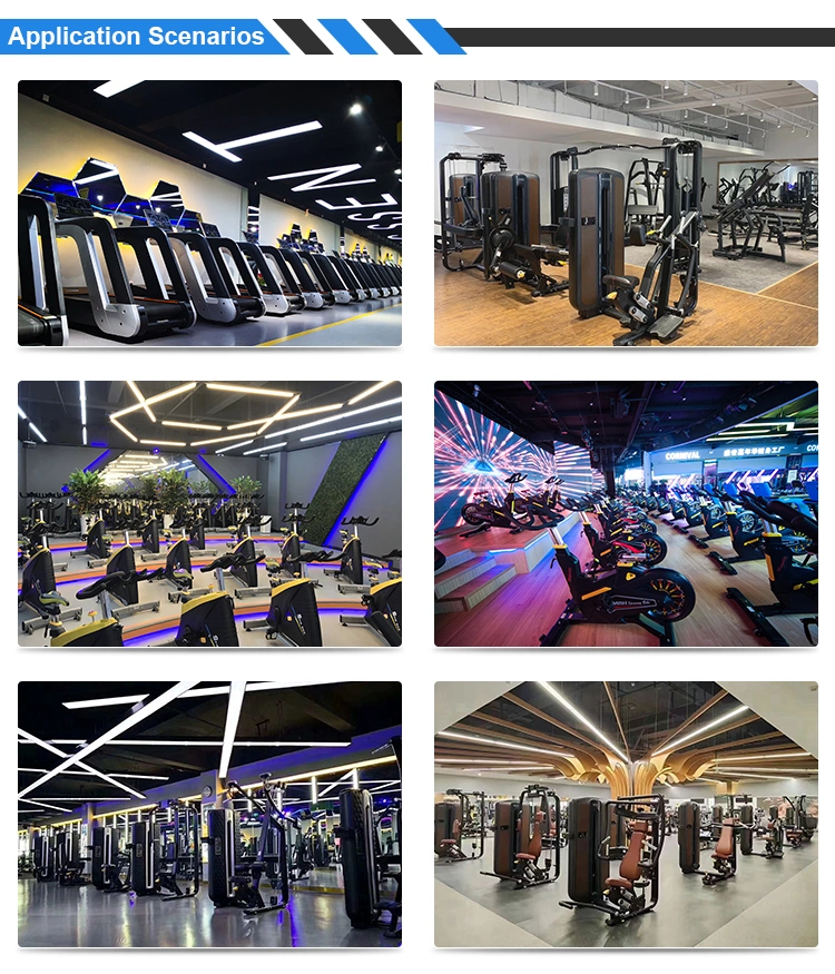 Lower Back Gym Equipment Sports Shandong Mbh Fitness